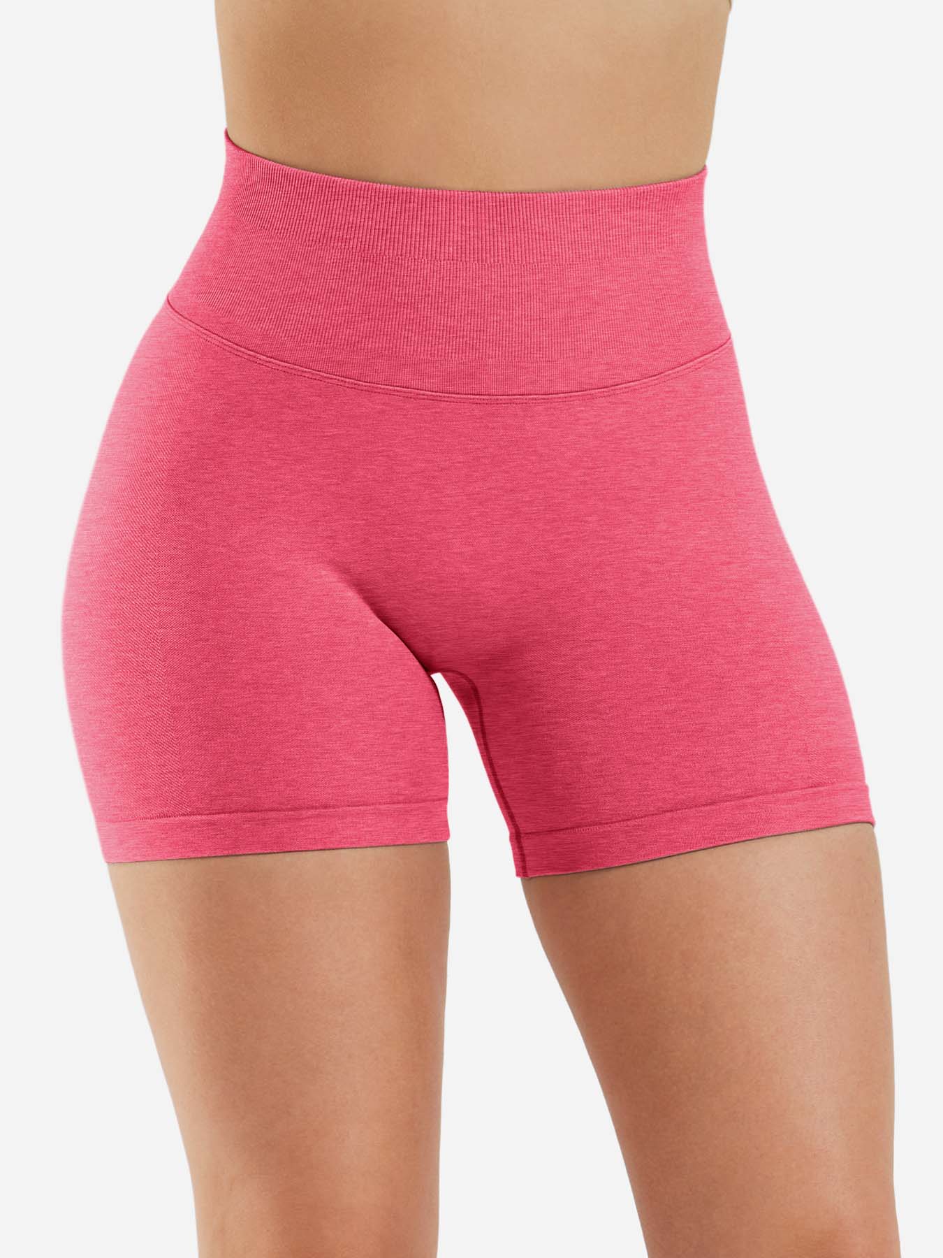 Lyne London™ | High Waist Shorts